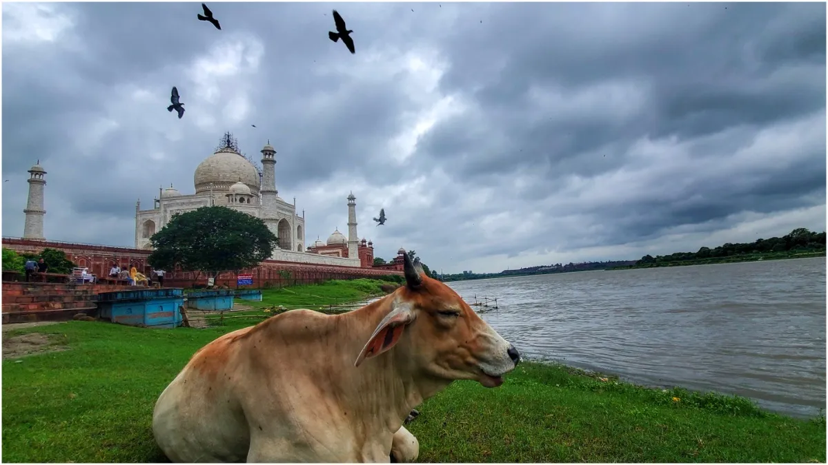 Clouds will remain in Delhi-NCR for a week light rain is expected know the condition of your state- India TV Hindi
