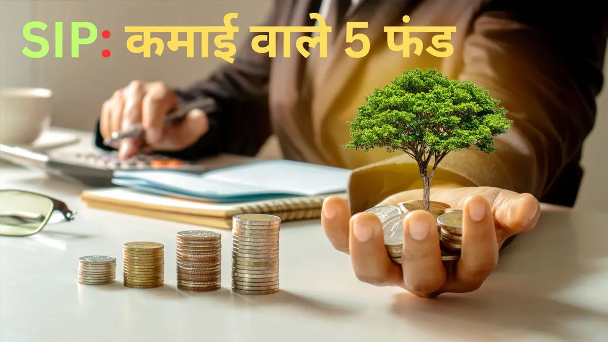 फंड का पिछला प्रदर्शन और जोखिम प्रोफाइल जरूर जांचें। - India TV Hindi