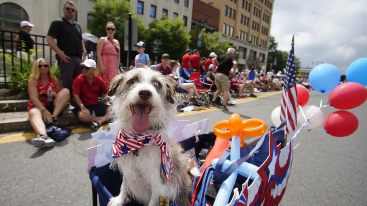 अमेरिका का स्वतंत्रता दिवस। - India TV Hindi