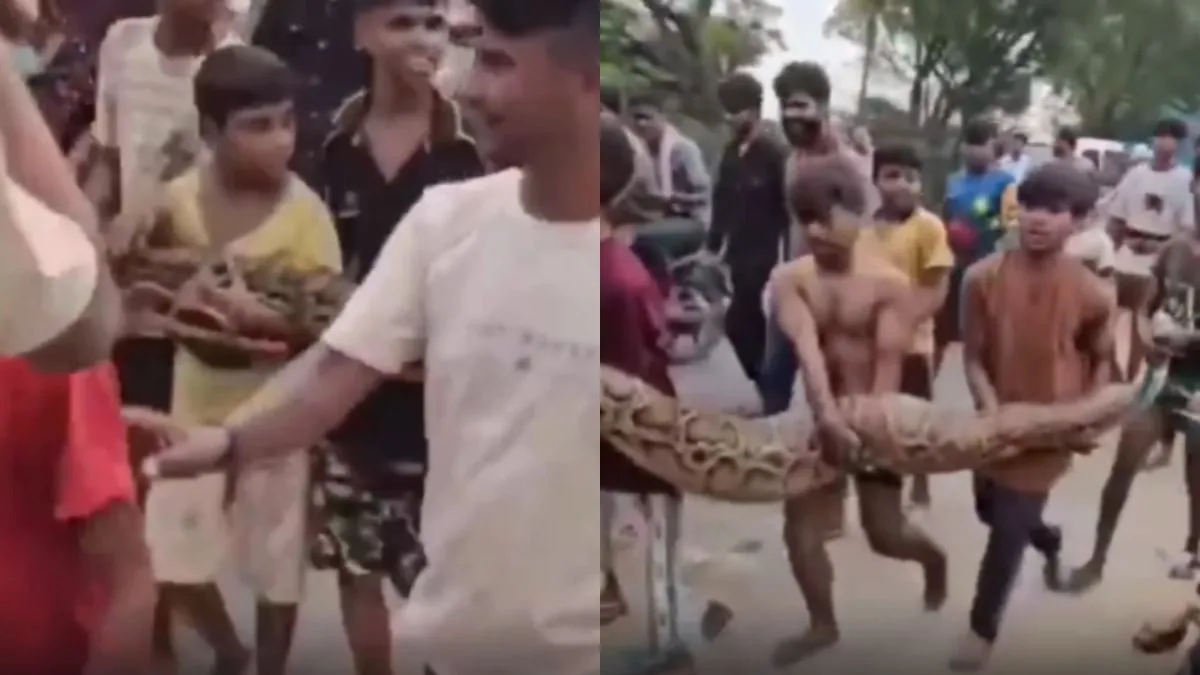 अजगर को हाथ में लिए सड़क पर चलते हुए बच्चे- India TV Hindi