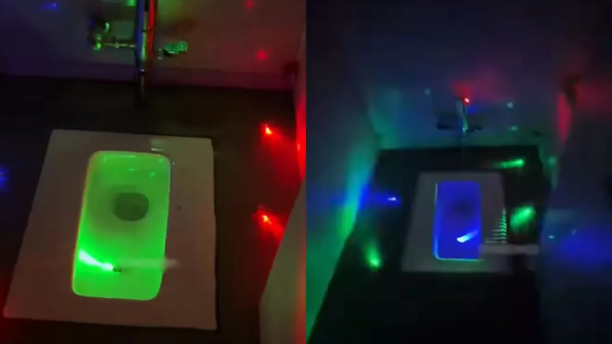 वायरल वीडियो का स्क्रीनशॉट- India TV Hindi