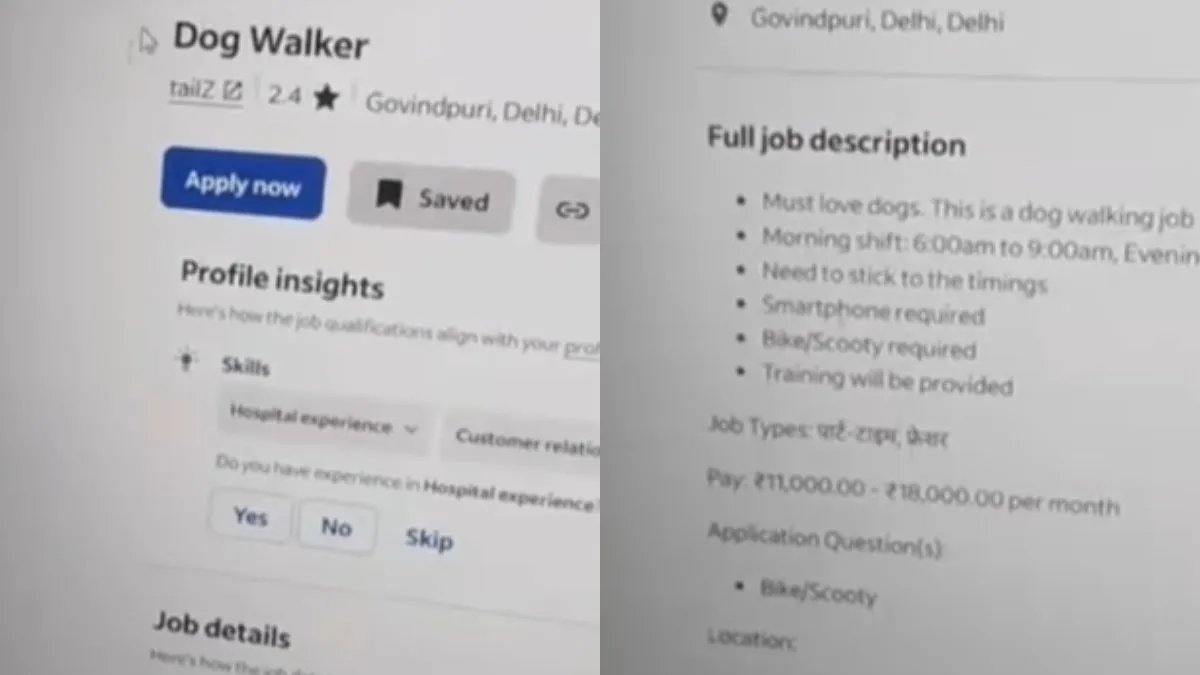 Job Vacancy, Vacancy, Viral Vacancy, Dog Walker Job- India TV Hindi