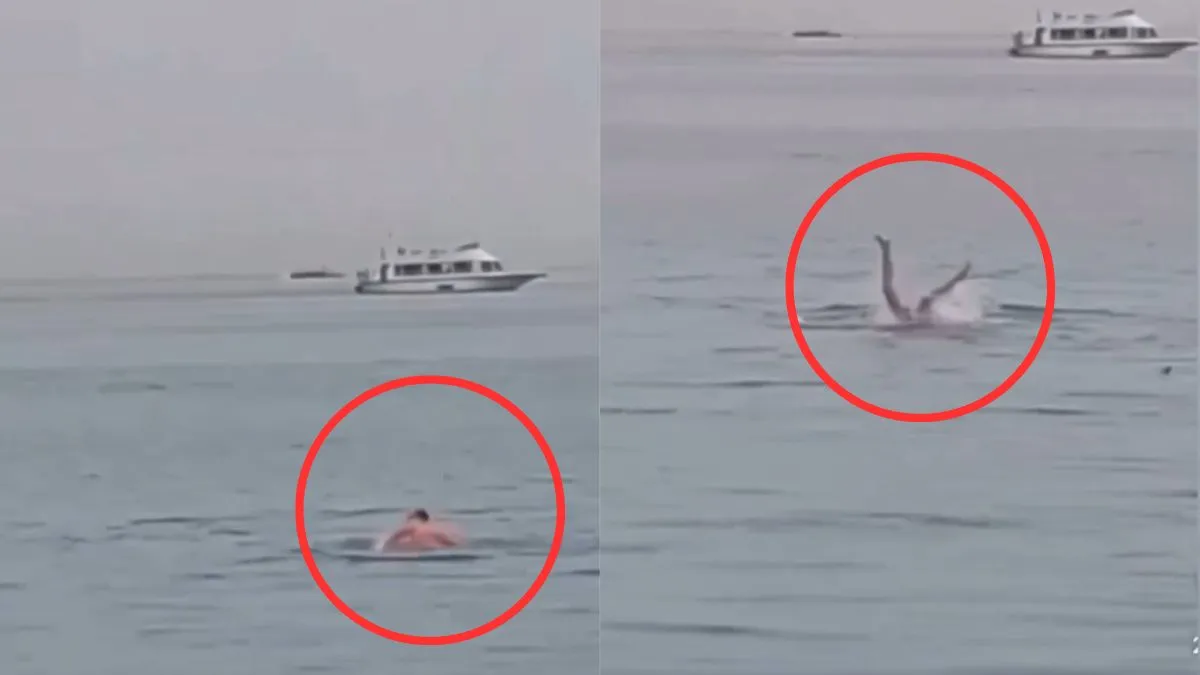 शख्स पर शार्क मछली ने किया हमला- India TV Hindi