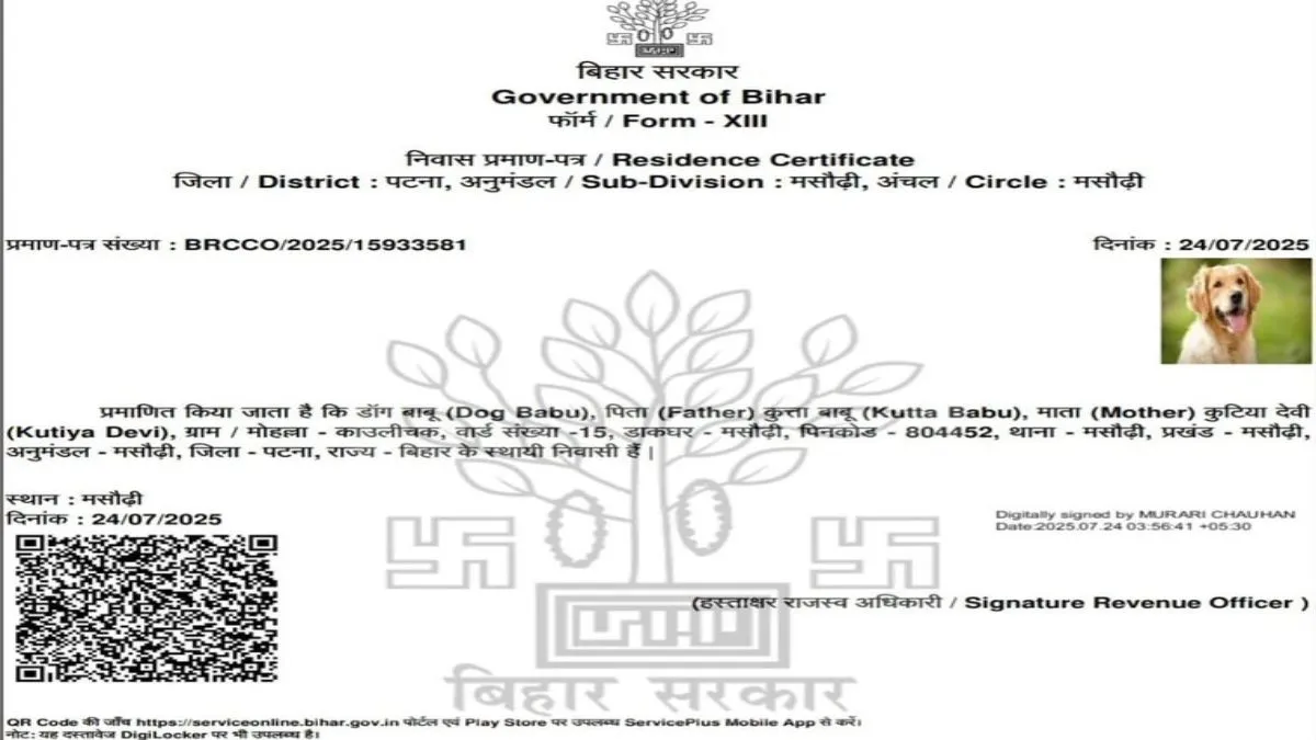 Dog's residence certificate, Bihar's viral post, viral news, Bihar residence certificate, Patna- India TV Hindi