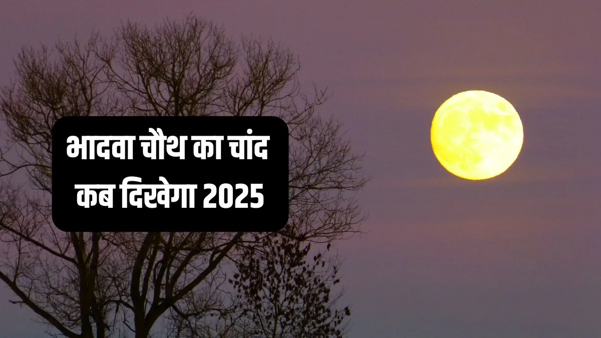 Bhadwa chauth- India TV Hindi