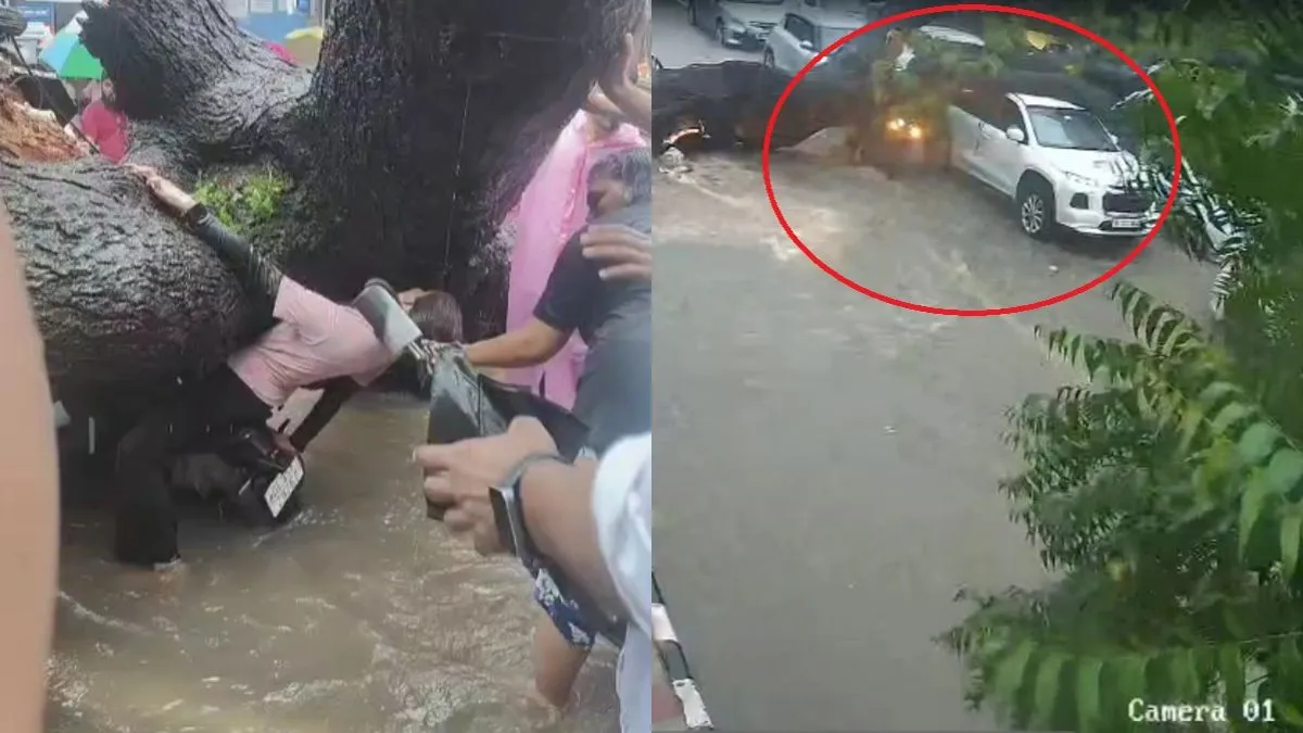  बाइक पर पेड़ गिरने की तस्वीर- India TV Hindi