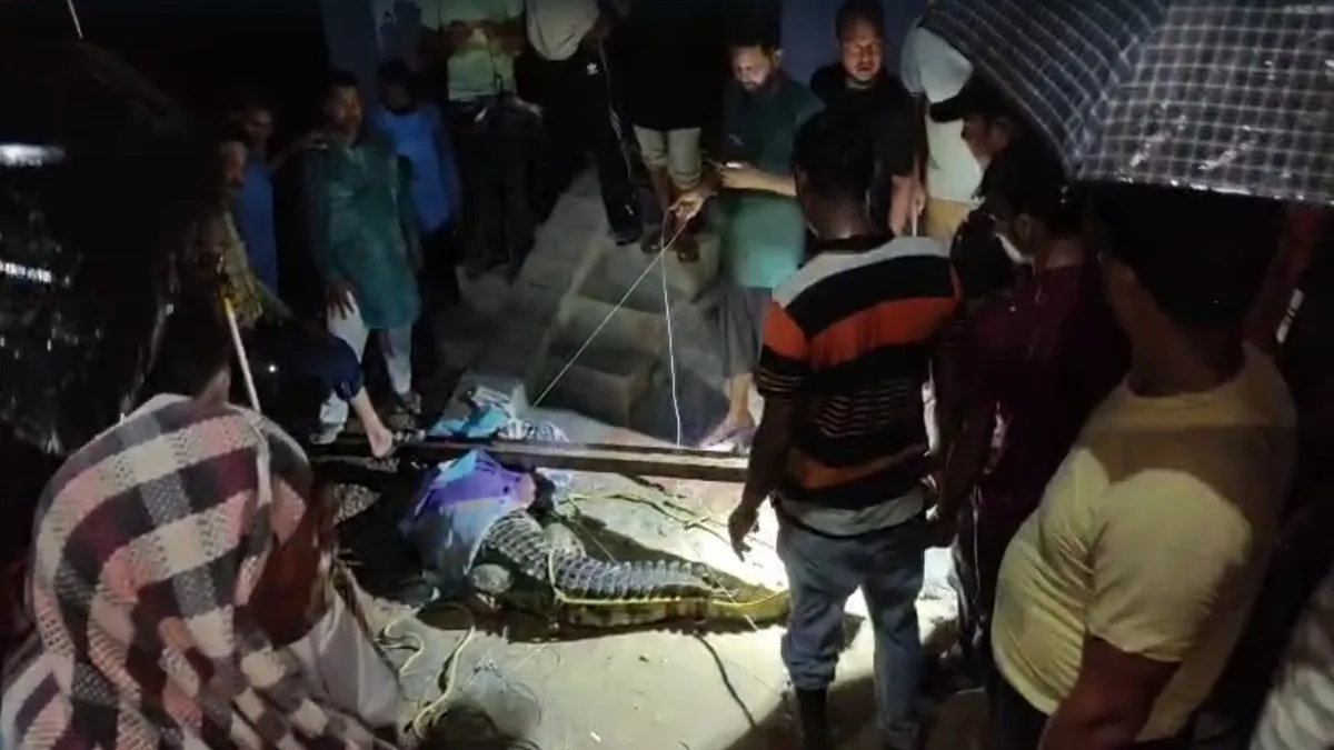 crocodile- India TV Hindi