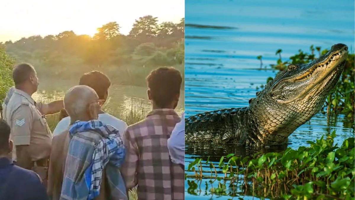 crocodile- India TV Hindi