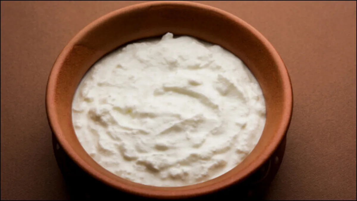 Thick creamy yogurt