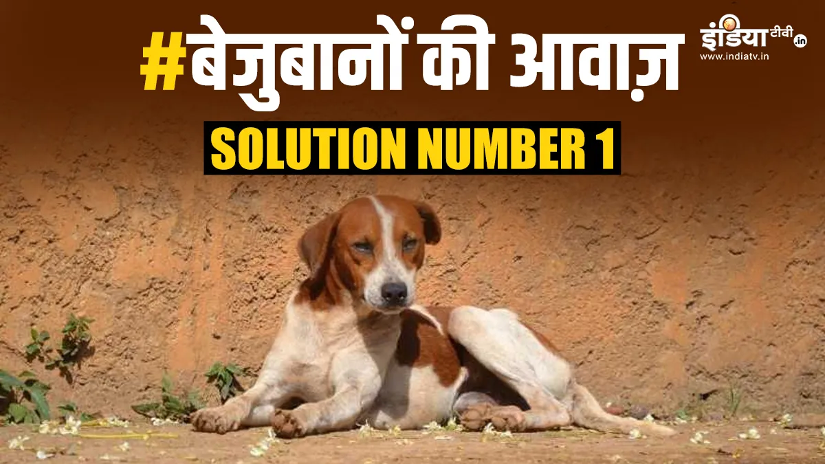 Bejubano ki  aawaz - India TV Hindi