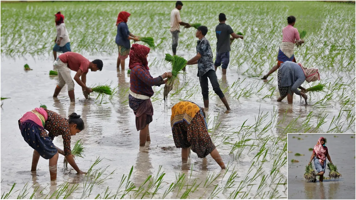 Farmers 