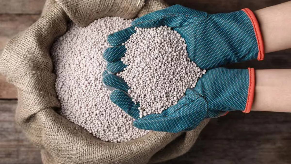 india russia trade, india us trade, tariff, crude oil, fertilizer, fertilizer exports, fertilizer im- India TV Paisa