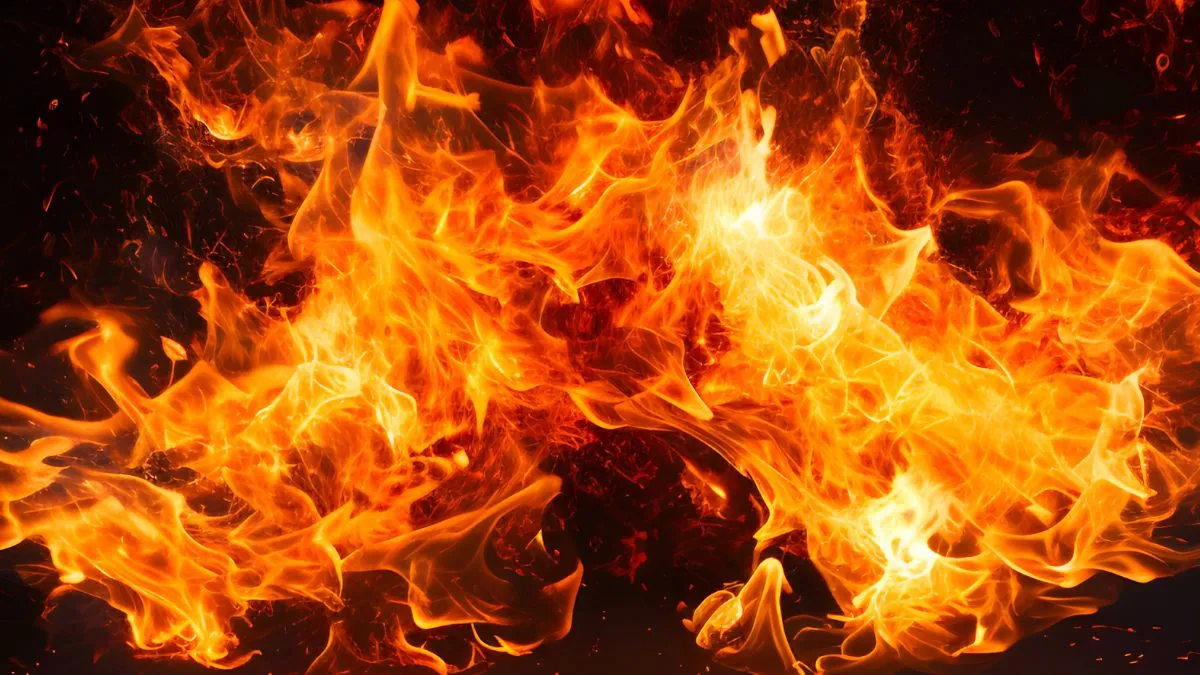 Delhi Fire- India TV Hindi