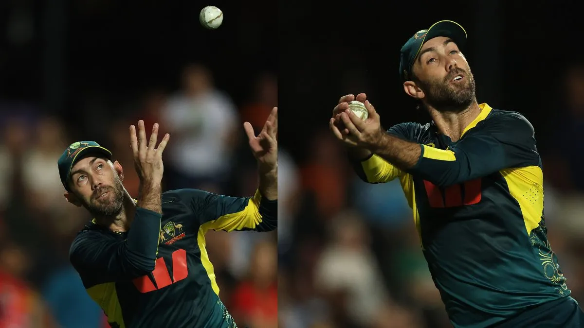 Glenn Maxwell Catch- India TV Hindi