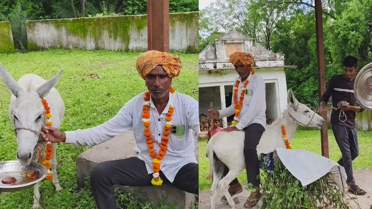Jhalawar- India TV Hindi