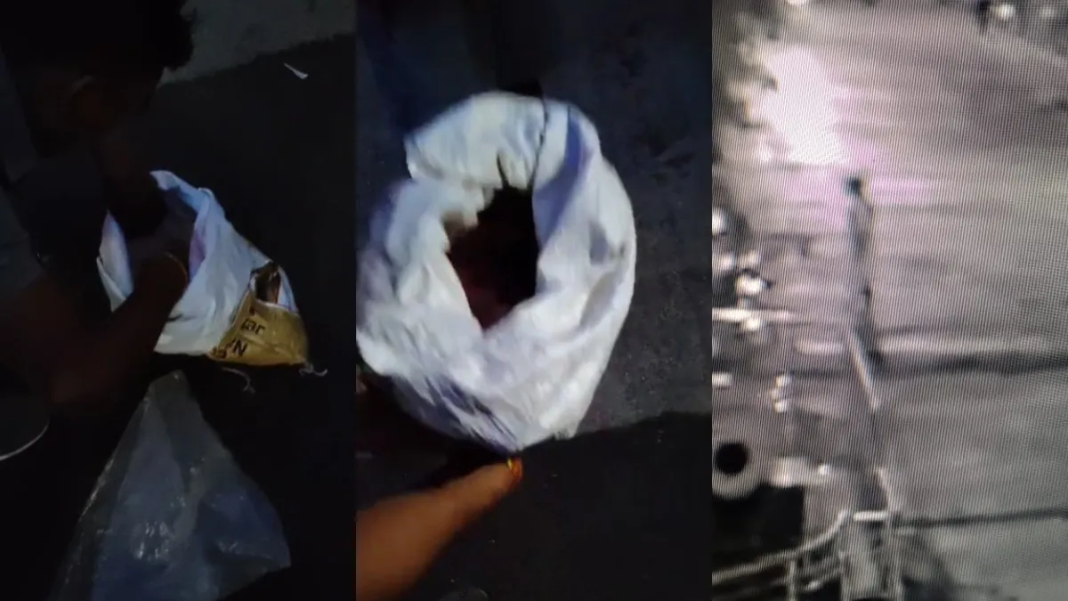 Maharashtra new born baby thrown - India TV Hindi