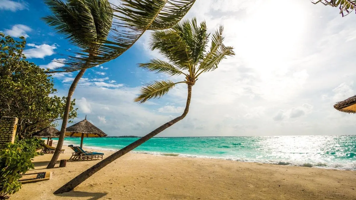 जलवायु परिवर्तन के...- India TV Hindi