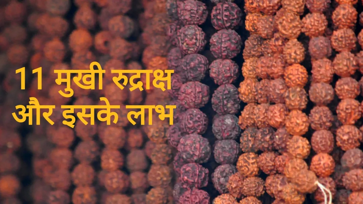Rudraksh- India TV Hindi