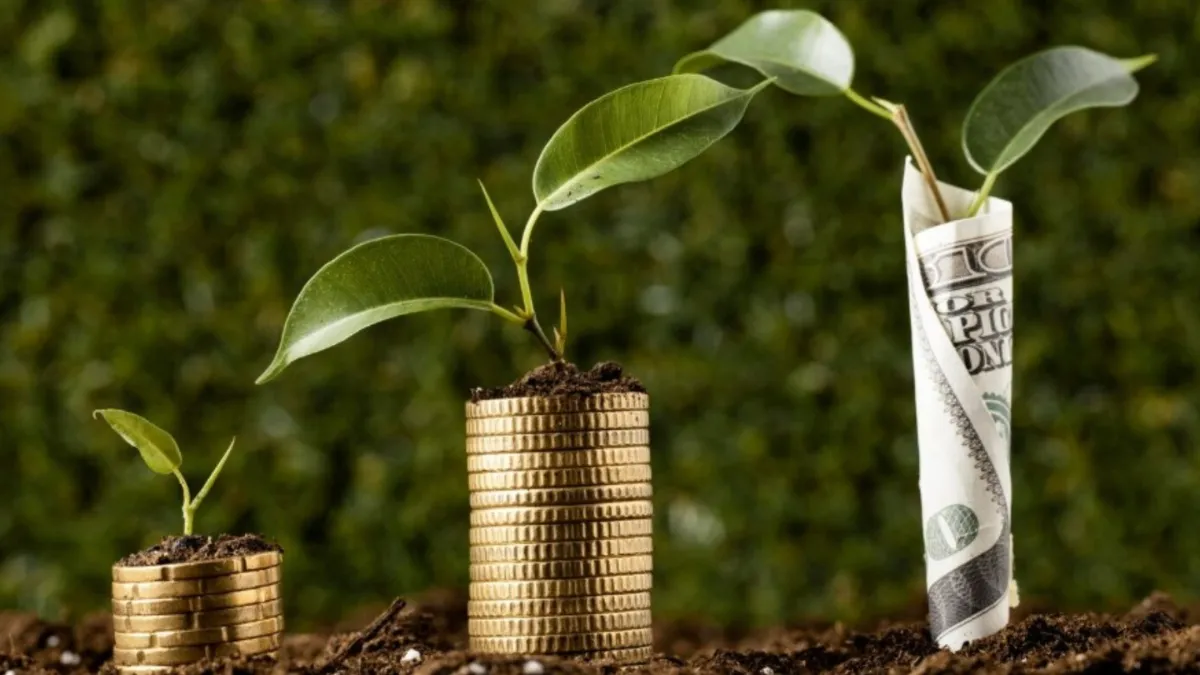 Money Plant Vastu- India TV Hindi