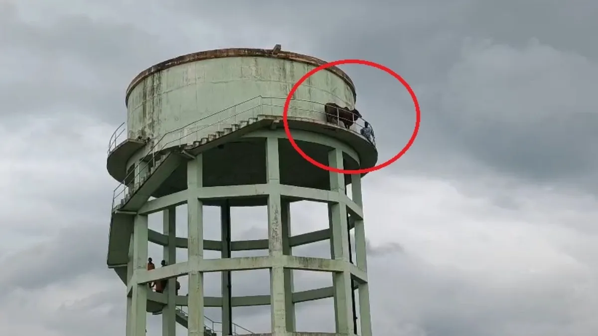 पानी टंकी पर चढ़ा सांड- India TV Hindi