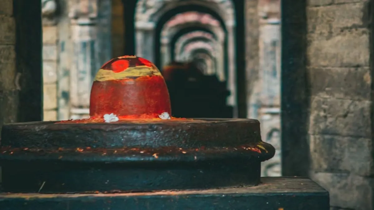 भगवान शिव, कजरी तीज- India TV Hindi