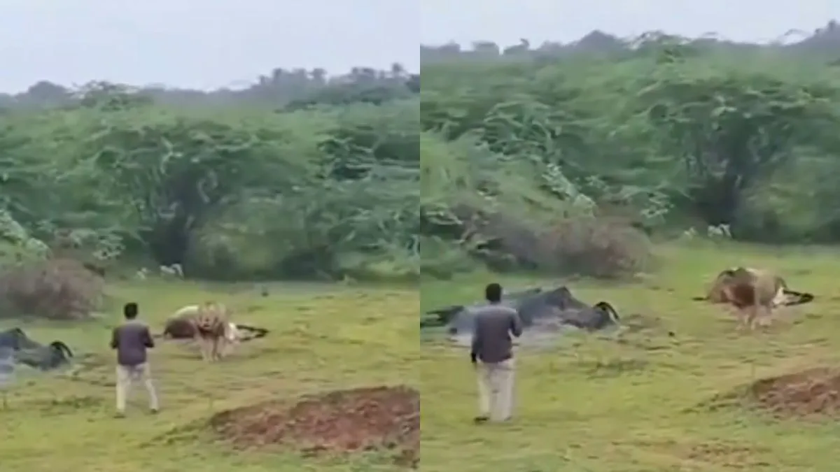 वायरल वीडियो का स्क्रीनशॉट- India TV Hindi