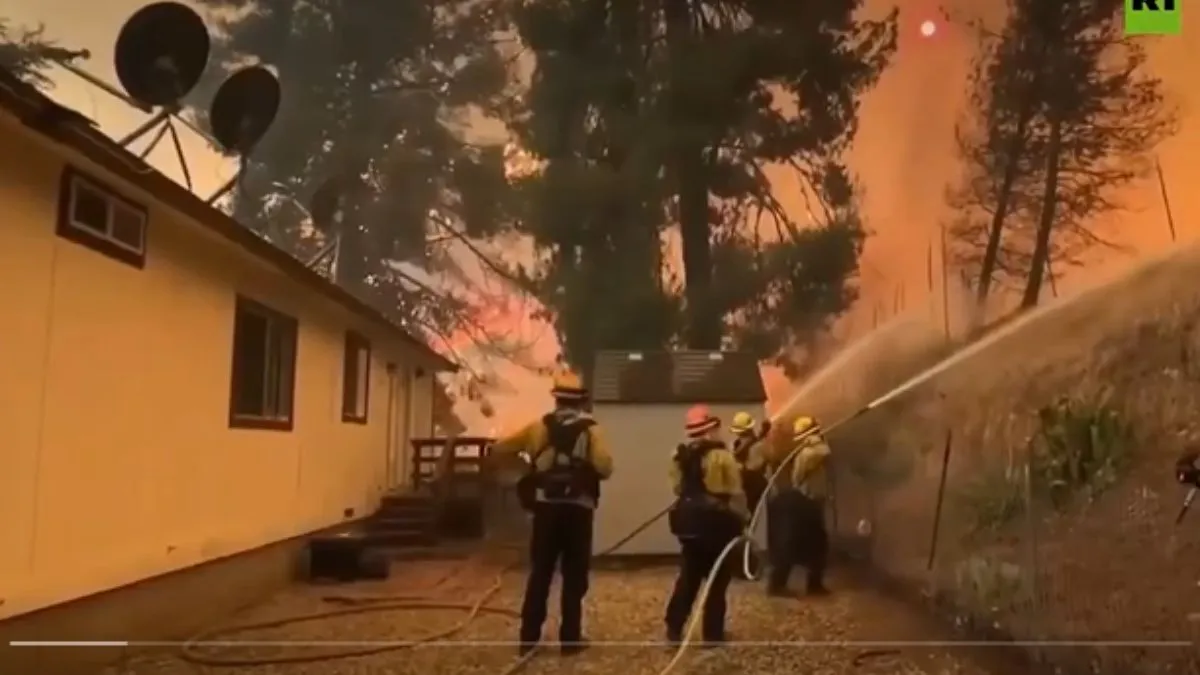 कैलिफोर्निया के जंगलों में फिर लगी आग- India TV Hindi