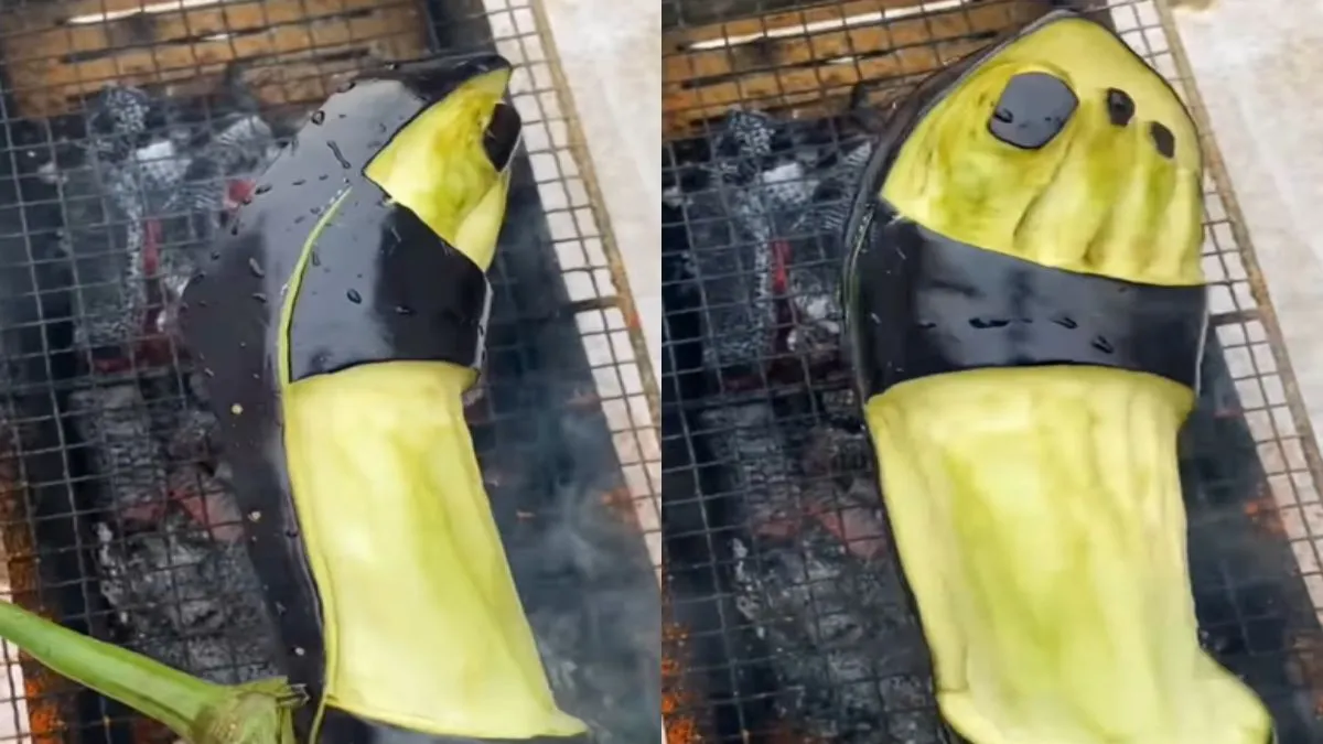 वायरल वीडियो का स्क्रीनशॉट- India TV Hindi