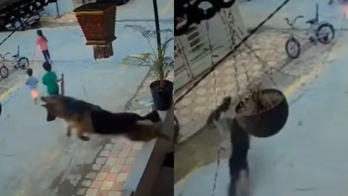 वायरल वीडियो का स्क्रीनशॉट- India TV Hindi