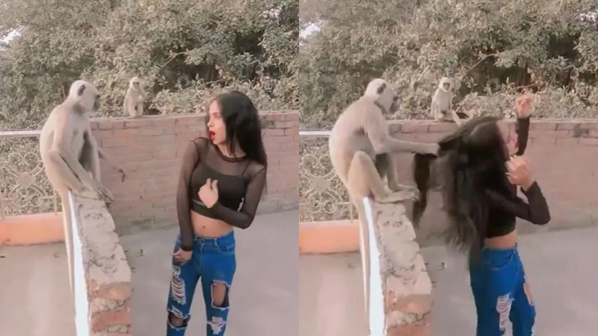 वायरल वीडियो का स्क्रीनशॉट- India TV Hindi
