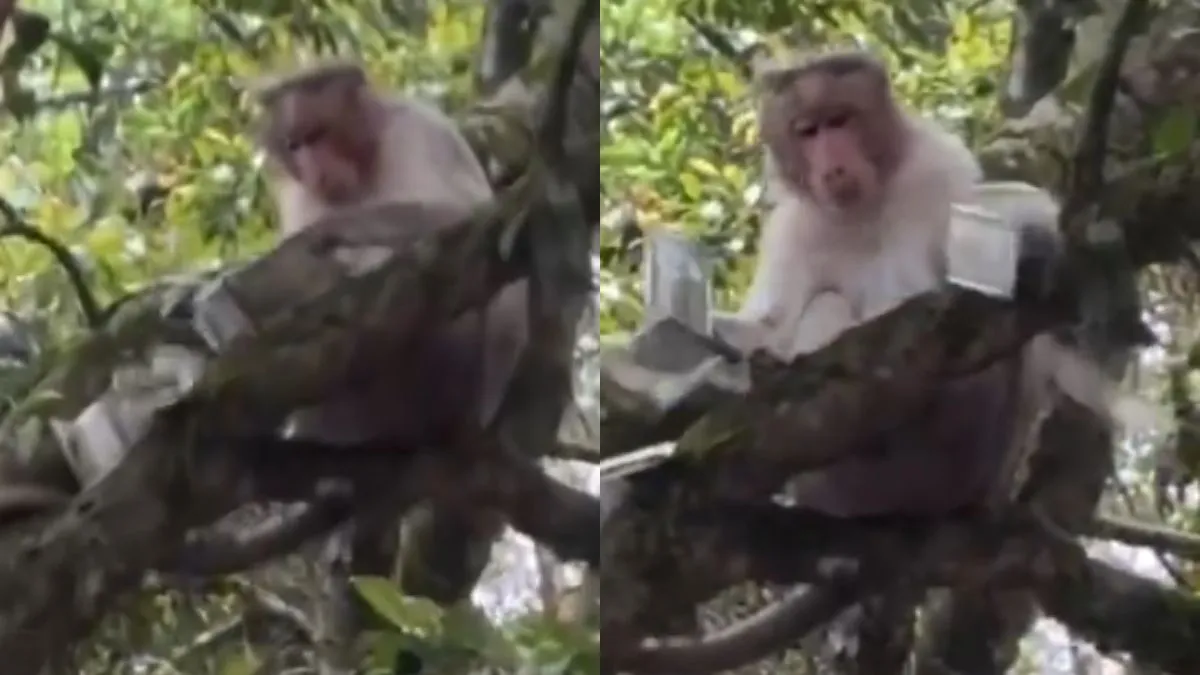 वायरल वीडियो का स्क्रीनशॉट- India TV Hindi