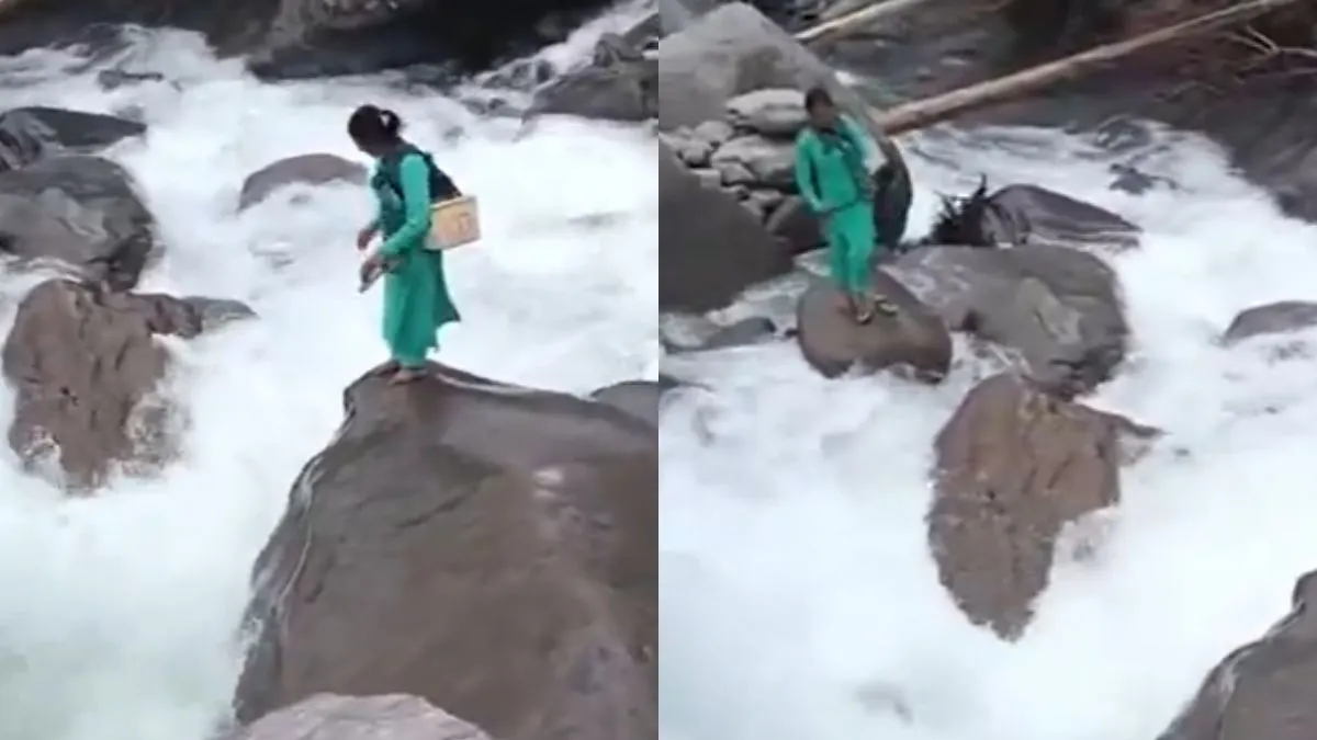 वायरल वीडियो का स्क्रीनशॉट- India TV Hindi