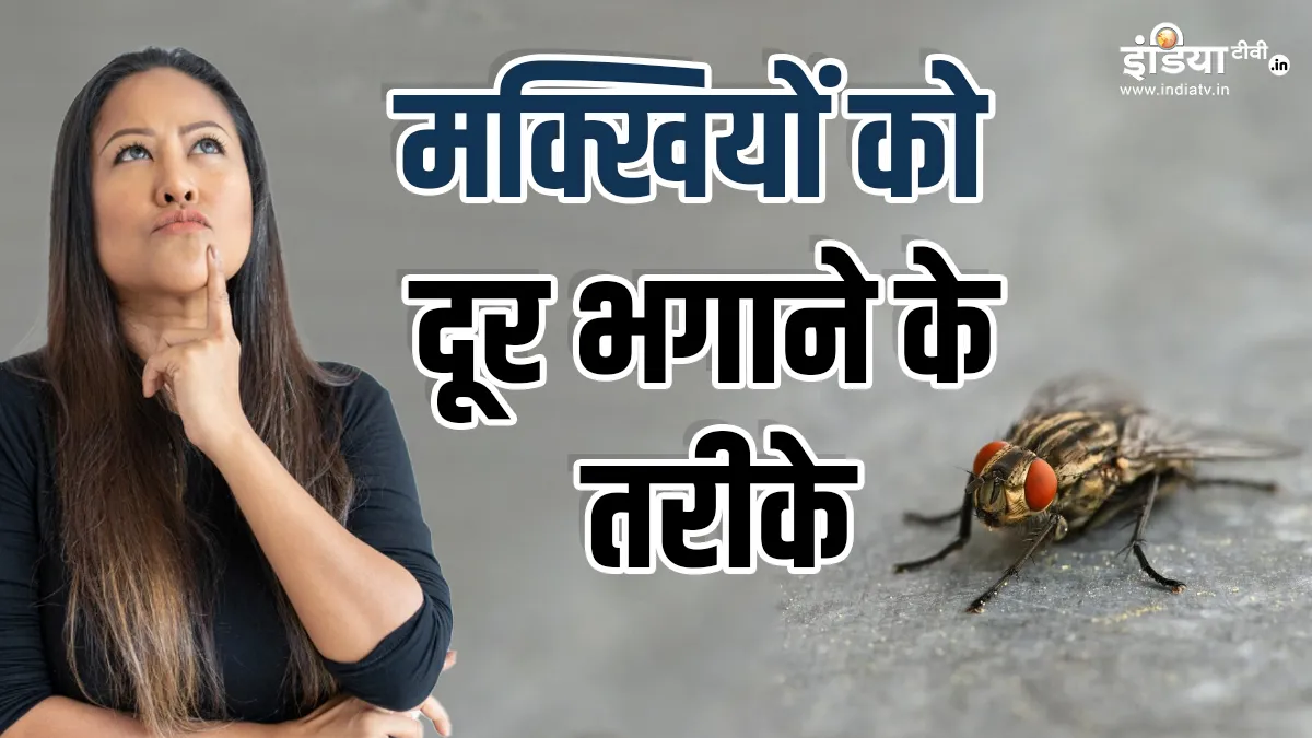 मक्खियों से नेचुरली कैसे छुटकारा पाएं?- India TV Hindi