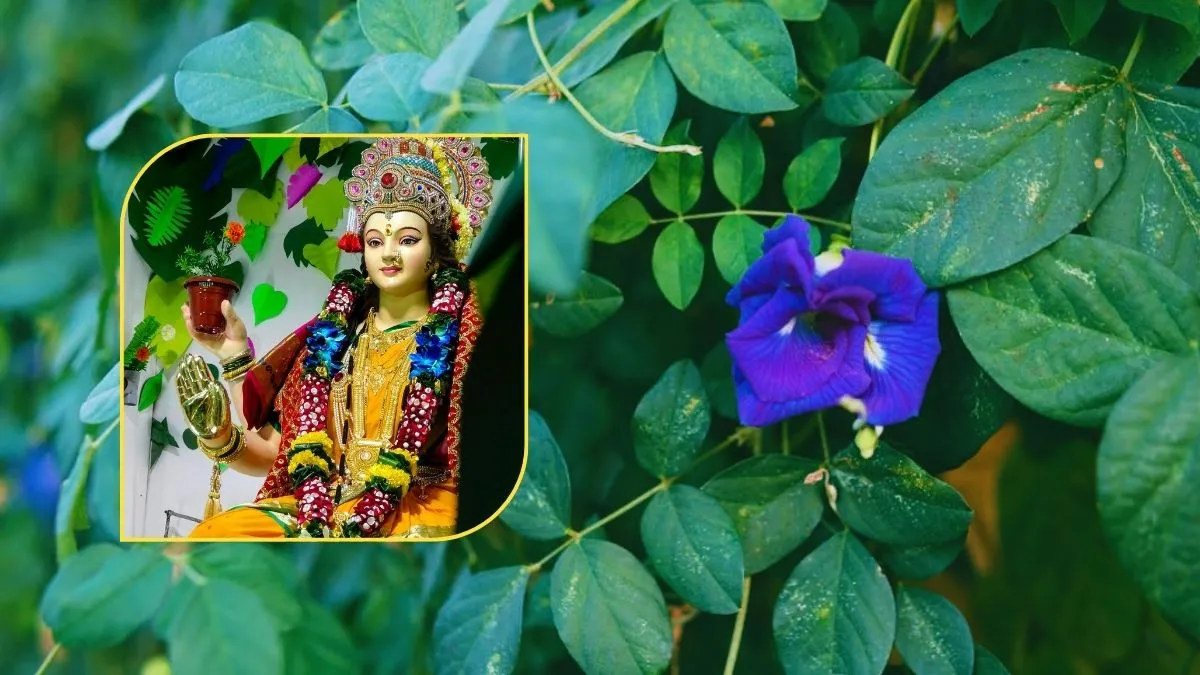 प्रिय फूल चढ़ाकरदेवी...- India TV Hindi