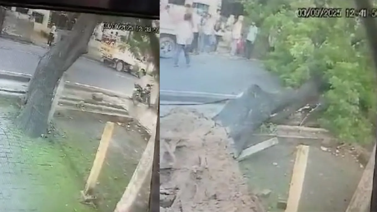 पेड़ के नीचे दबने से हुई मौत।- India TV Hindi