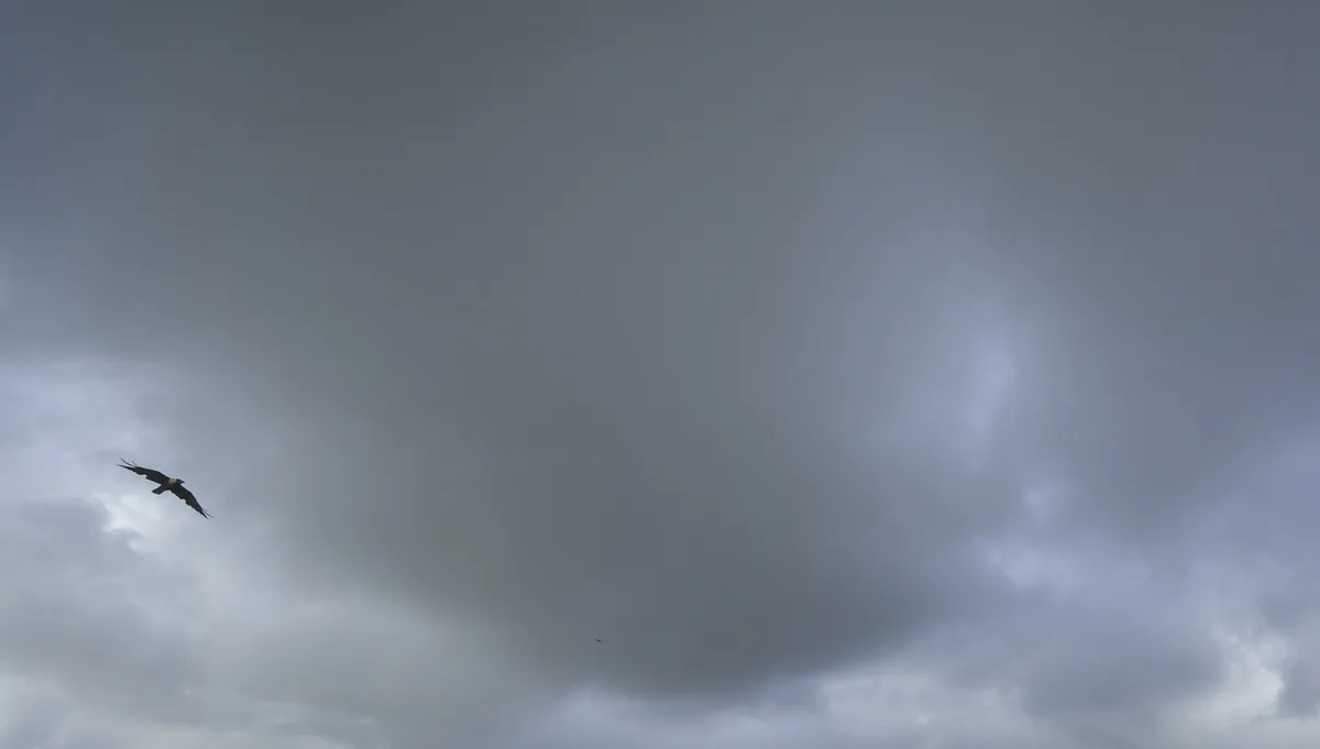 Rain, andhra pradesh- India TV Hindi