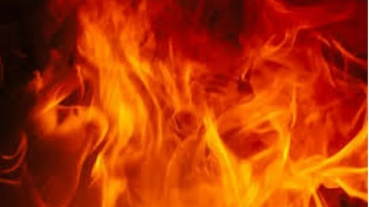 delhi Gaffar Market, Karol Bag fire- India TV Hindi