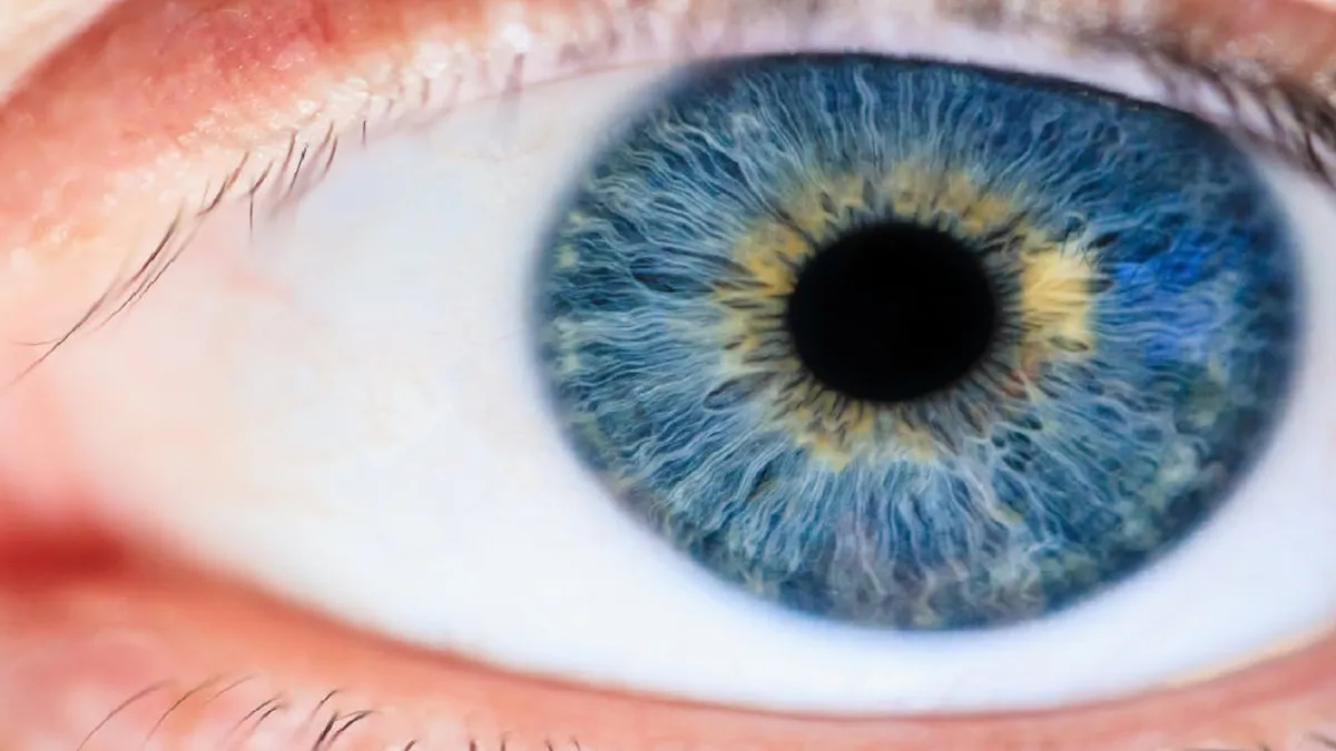 Eyes Different Colors- India TV Hindi