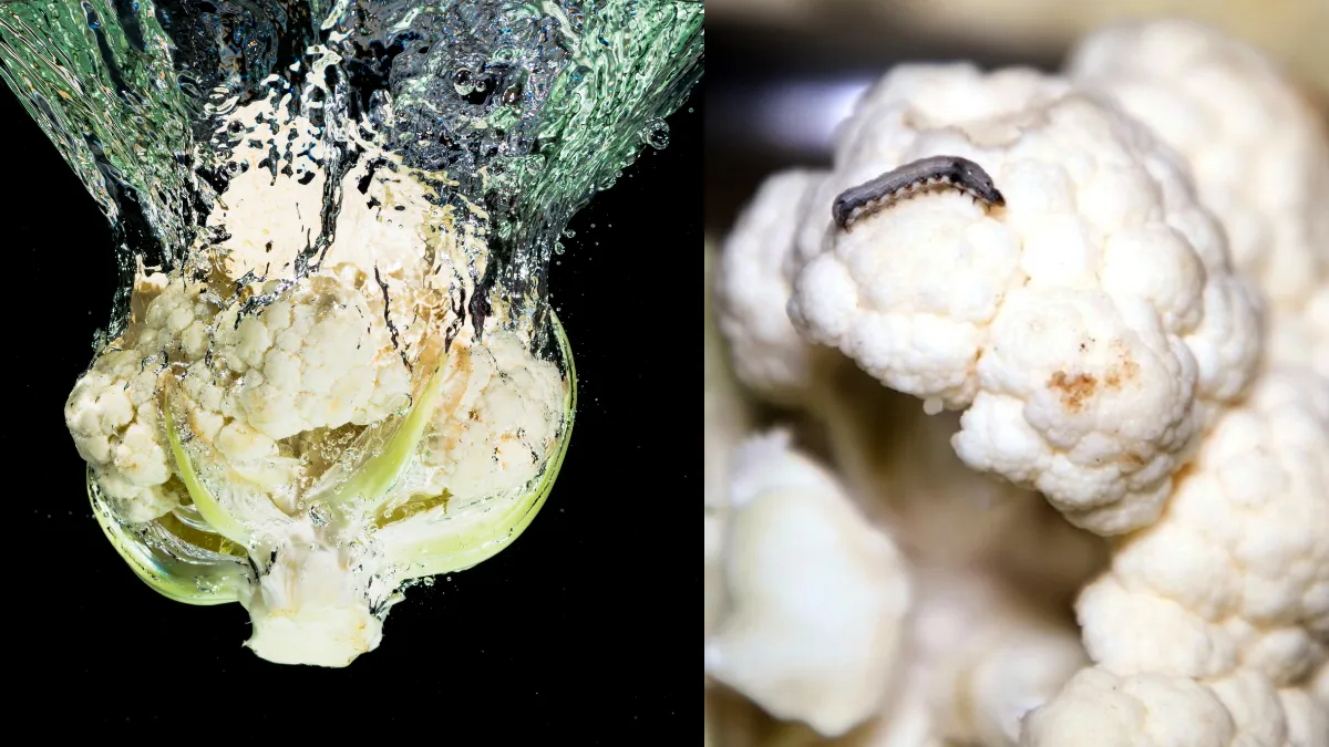 गोभी से कीड़ा कैसे निकालें- India TV Hindi