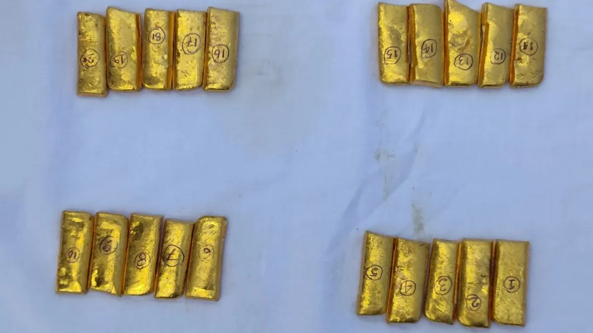 gold smuggling, BSF gold seizure, gold smuggling North 24 Parganas- India TV Hindi