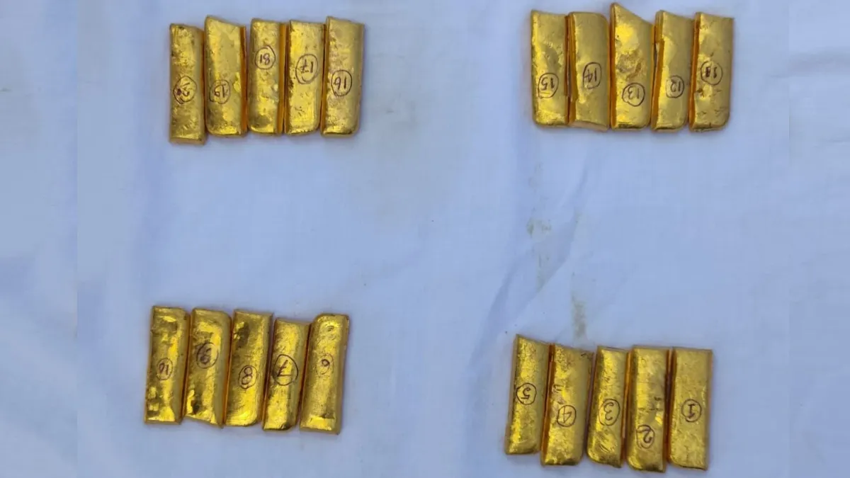 Gold Biscuit- India TV Hindi
