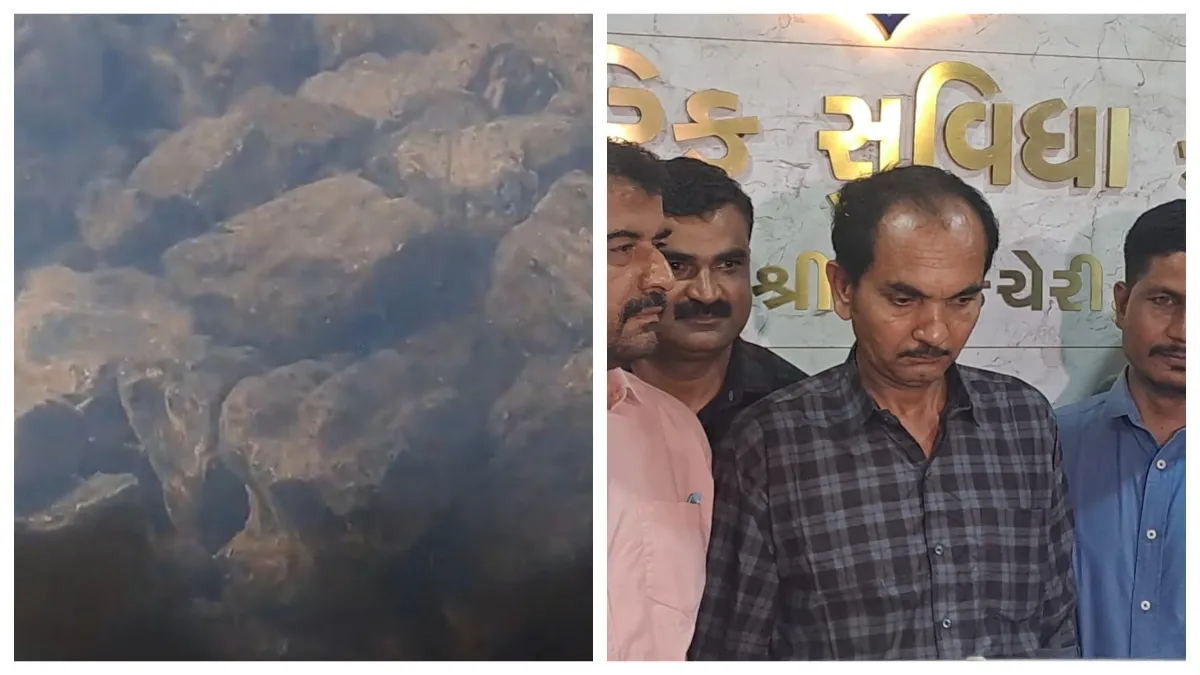 गुजरात में तस्कर गिरफ्तार- India TV Hindi