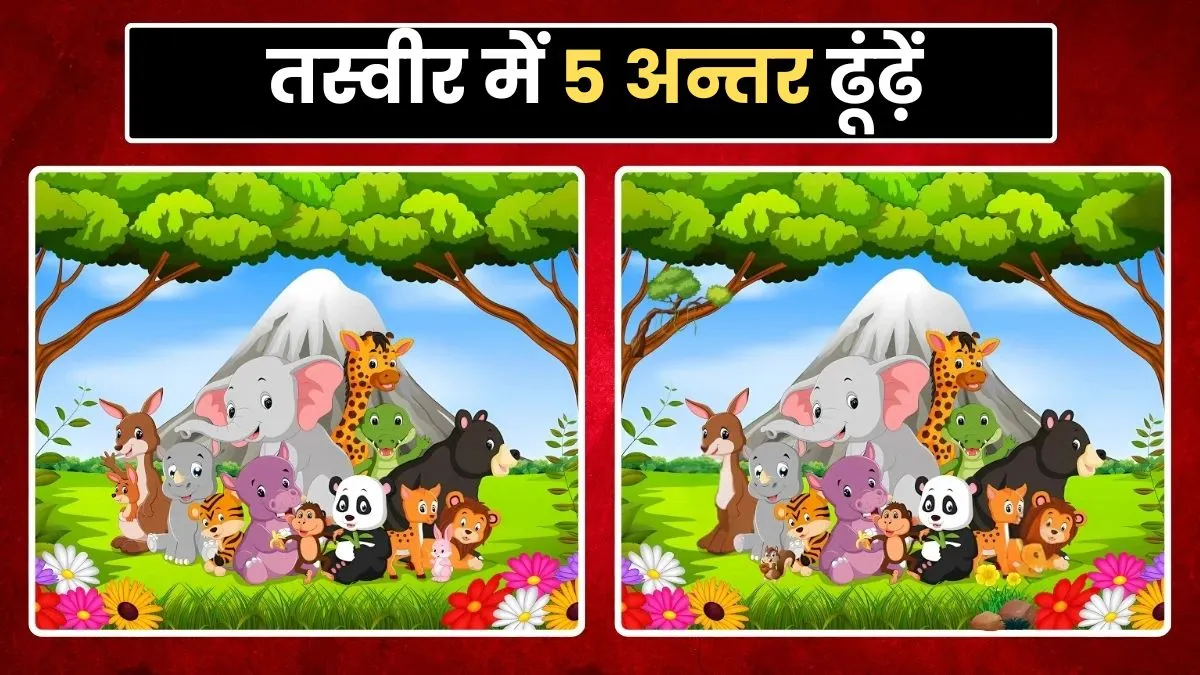 Optical Illusion, Optical Illusion Test, Optical Illusion Eye Test, Viral Optical Illusion, Brain Te- India TV Hindi