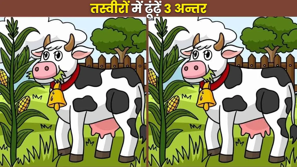 Optical Illusion, Optical Illusion Test- India TV Hindi