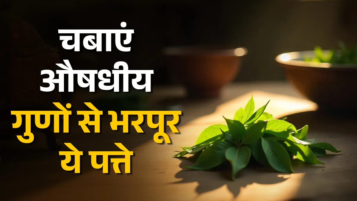 सेहत के लिए फायदेमंद करी पत्ता- India TV Hindi