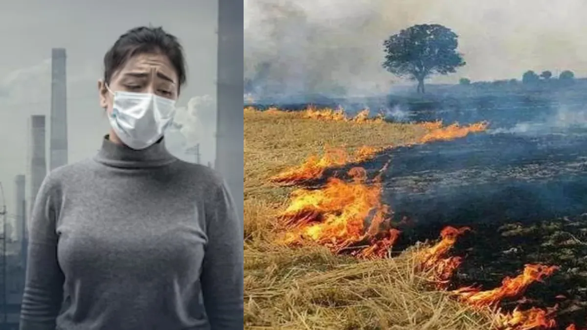 दिल्ली एनसीआर में प्रदूषण - India TV Hindi