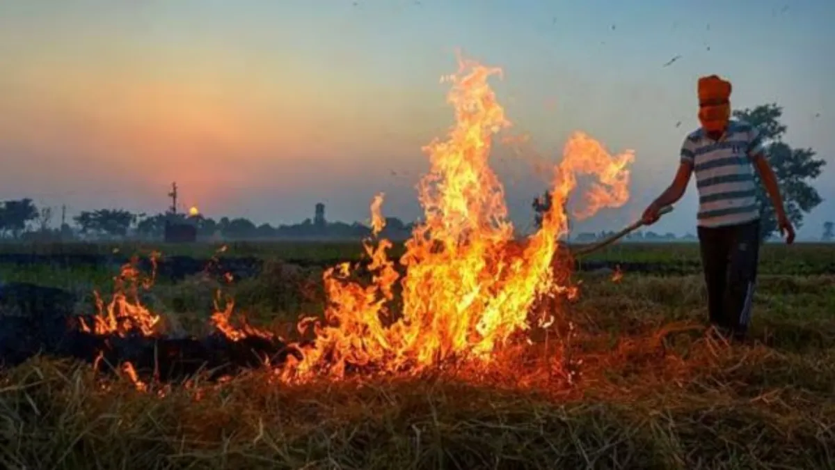 Punjab stubbble parali burning- India TV Hindi