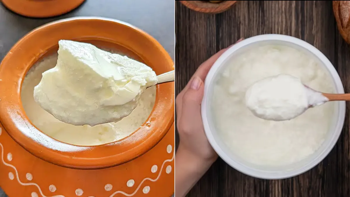 दही का खट्टापन कैसे दूर करें- India TV Hindi