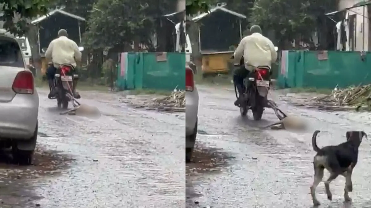dog tied bike dragged maharashtra nashik- India TV Hindi