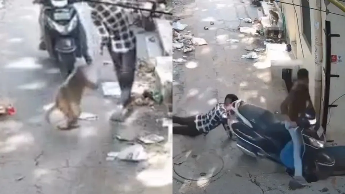 वायरल वीडियो का स्क्रीनशॉट- India TV Hindi